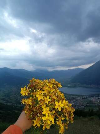 Загородные дома Eco Village Jasavic Плав-3
