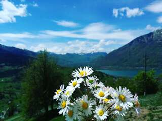 Загородные дома Eco Village Jasavic Плав-5