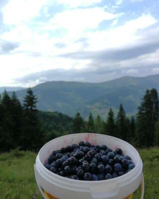 Загородные дома Eco Village Jasavic Плав-6