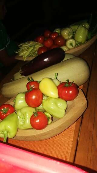 Загородные дома Eco Village Jasavic Плав-7