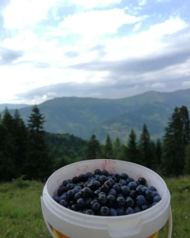 Загородные дома Eco Village Jasavic Плав-9